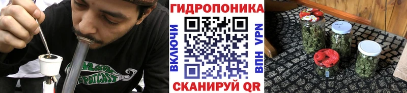 МАРИХУАНА сатива  Палласовка 